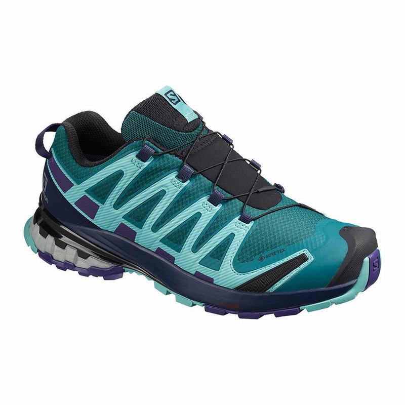 Salomon Israel XA PRO 3D V8 GORE-TEX - Womens Hiking Shoes - Blue (GOPH-87401)